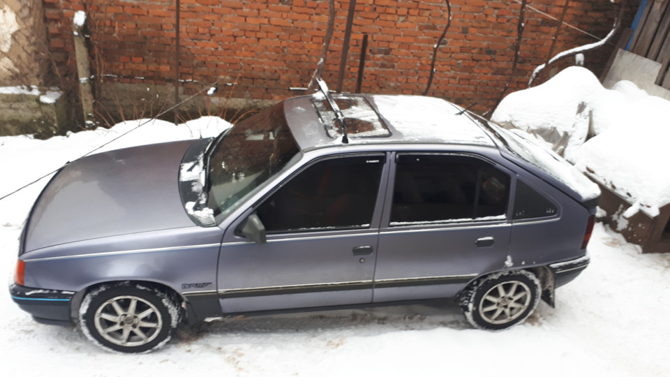 Няшки для ластівки 1