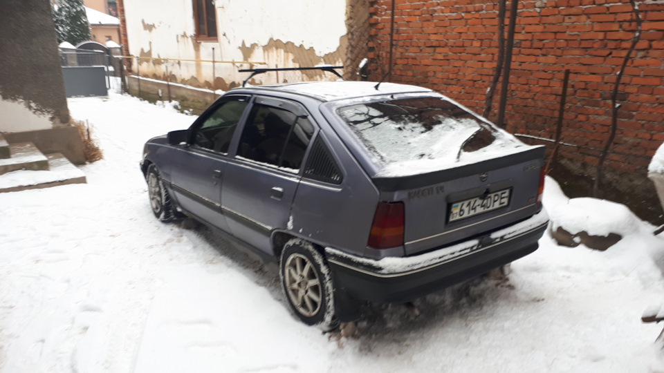 Няшки для ластівки 5
