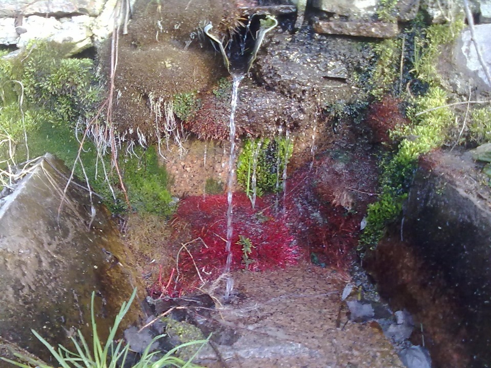 Проїхалися за водою 2