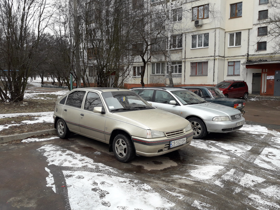Зимова сплячка. 1