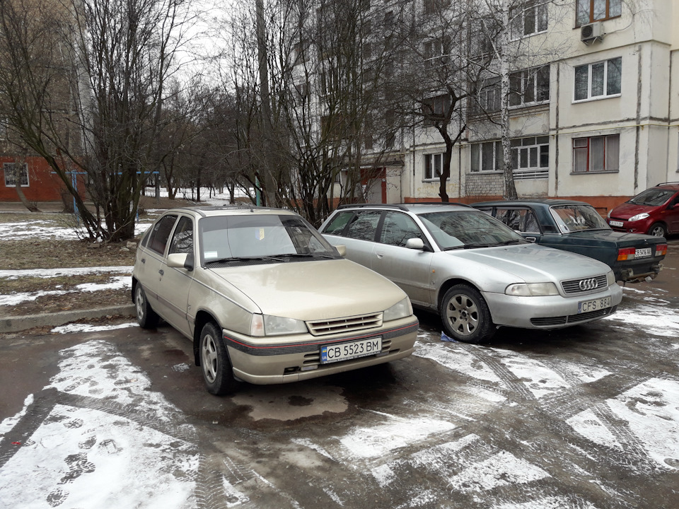 Зимова сплячка. 2