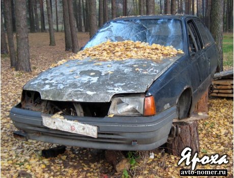 Кадетоводам;) 1