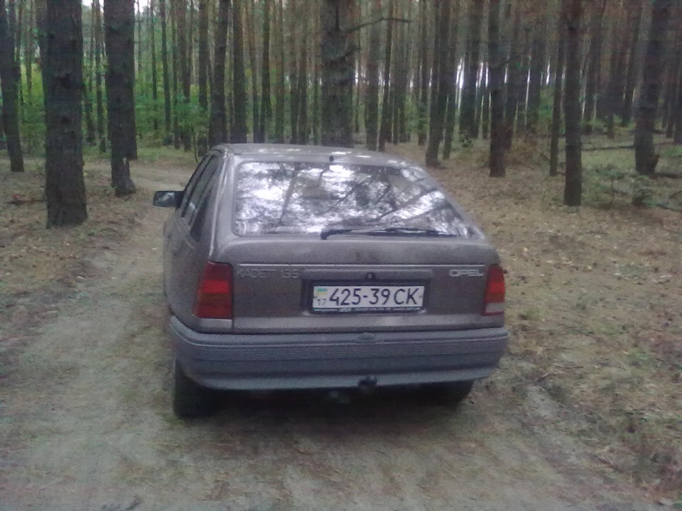 У лісі 5