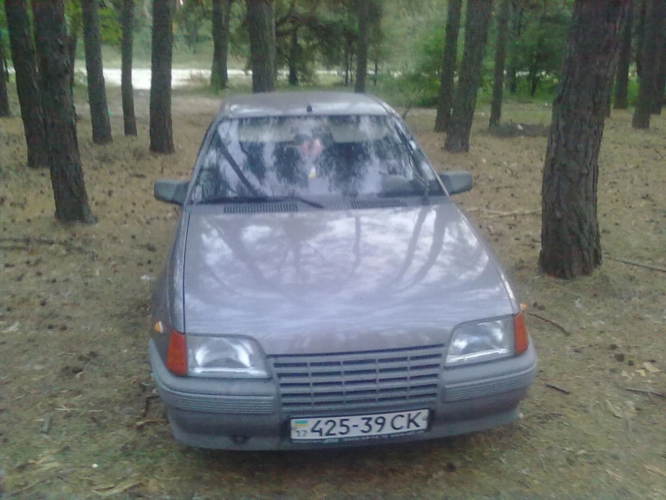 У лісі