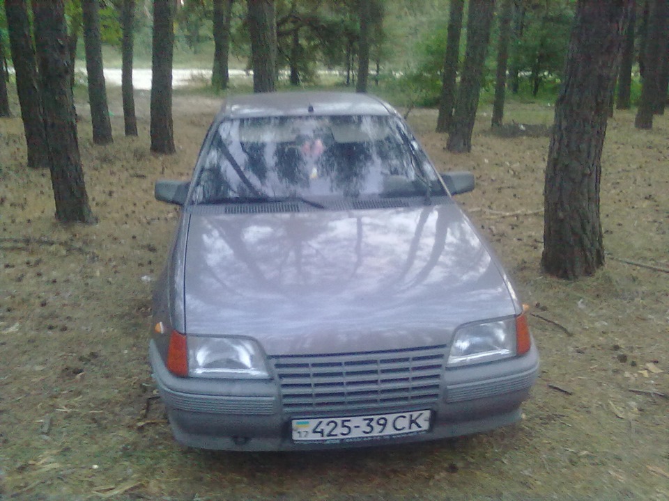 У лісі 1