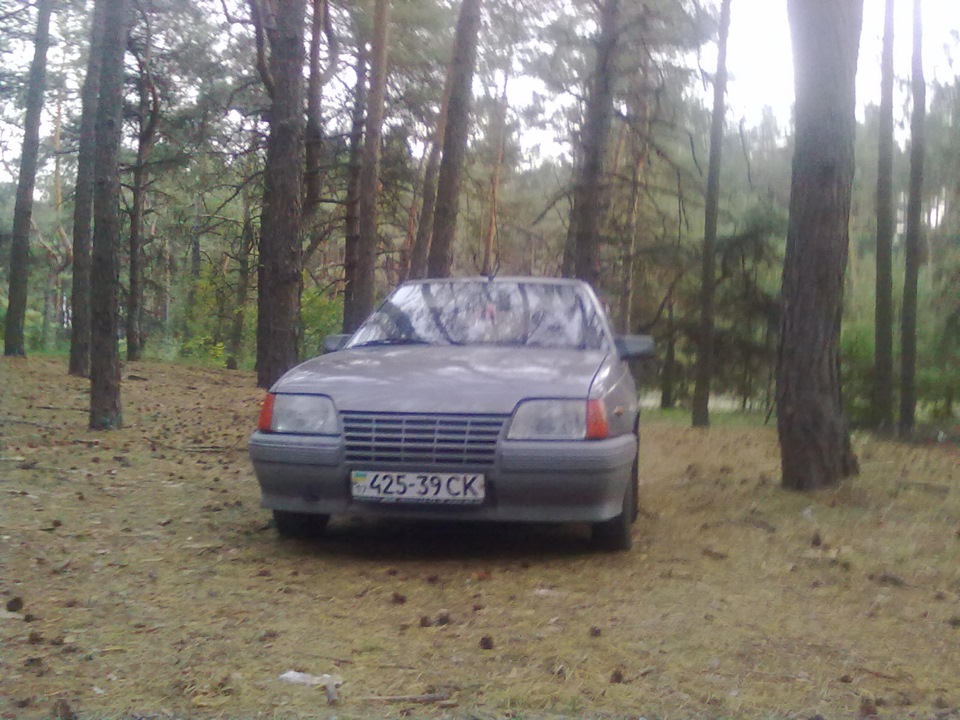 У лісі 3