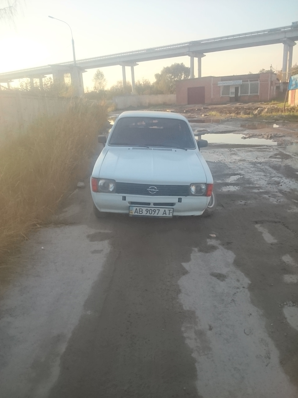 Біда, біда, прикро... 3
