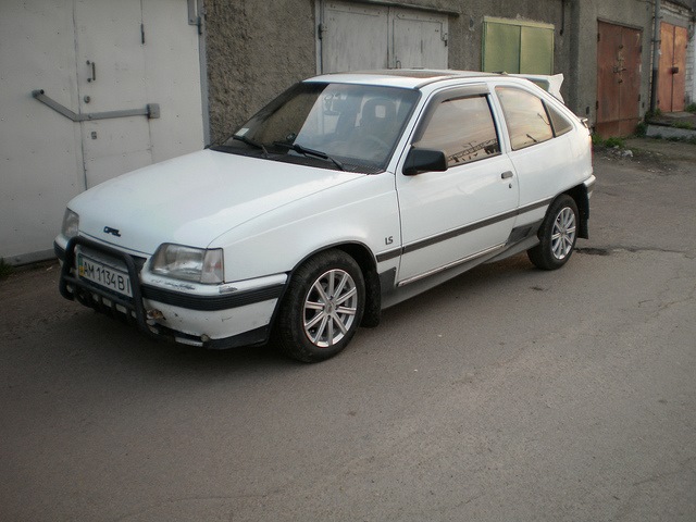 Мої тапки 1