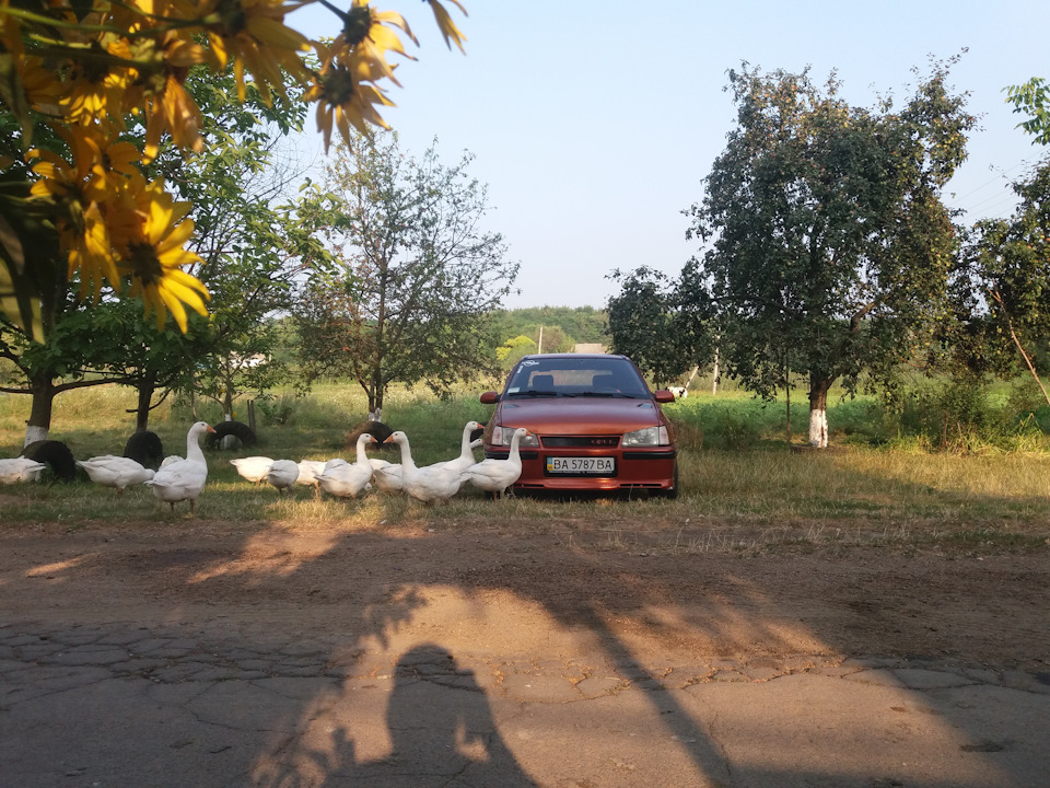 Фото і що буде з Кадіком ... 2
