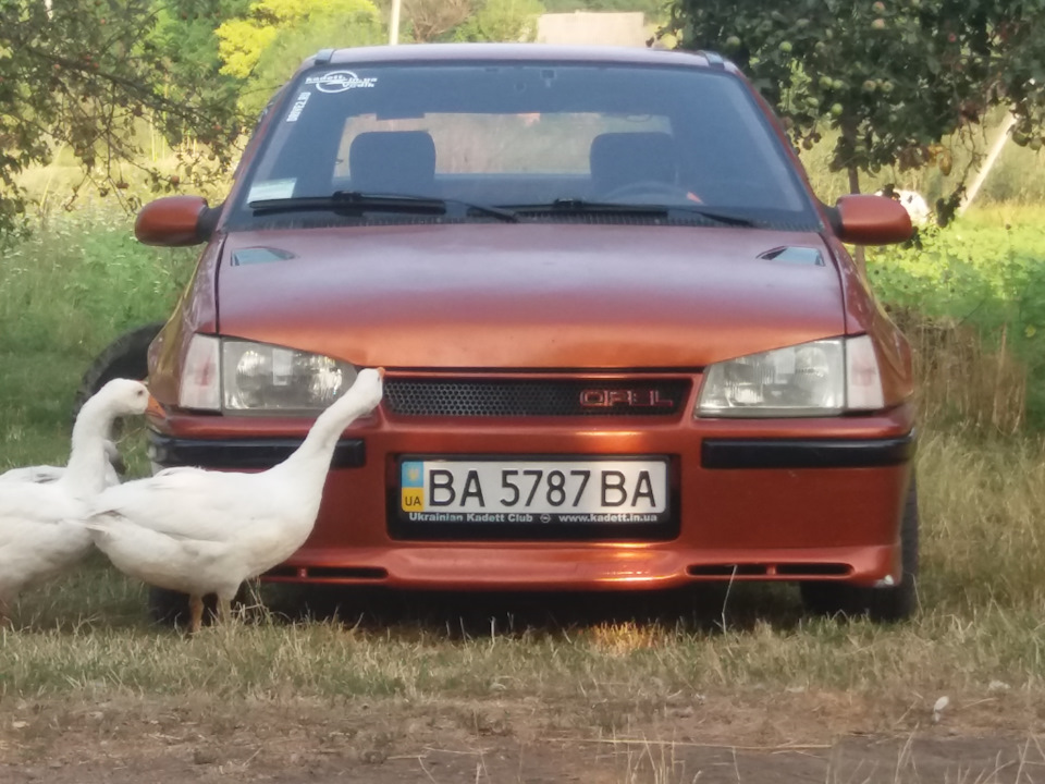 Фото і що буде з Кадіком ... 3