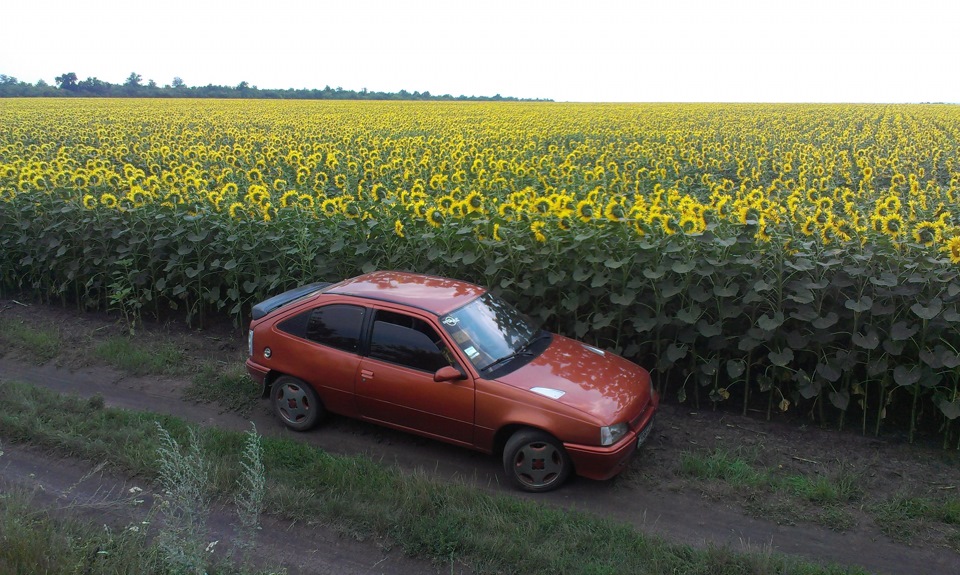 Трохи свіжих фоток ;) 5
