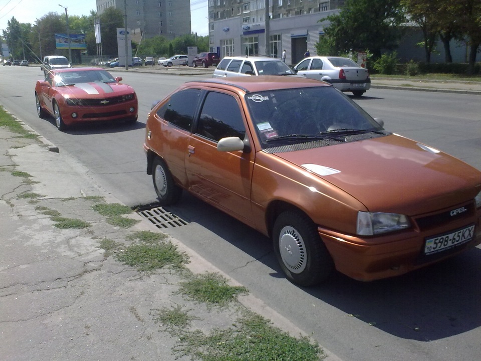 Непомітно підкрався КОМАРИК))) 1