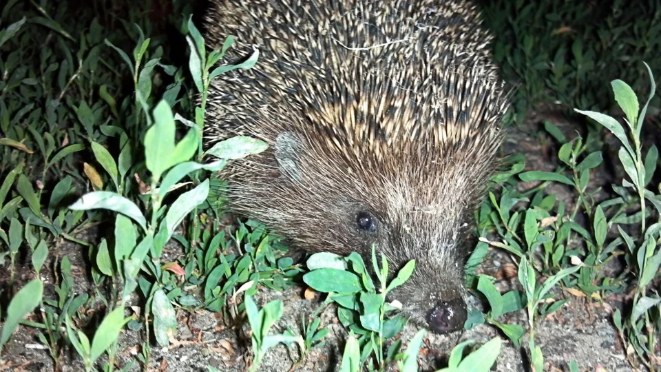 Тюнінг салону вже в процесі! Частина №5