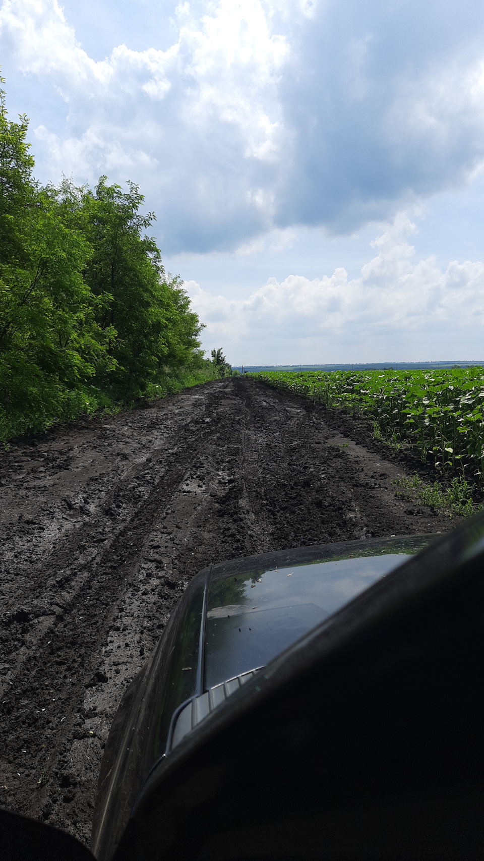 Заміна протитуманних фар, застрягла в полі, останні новини про машину 1