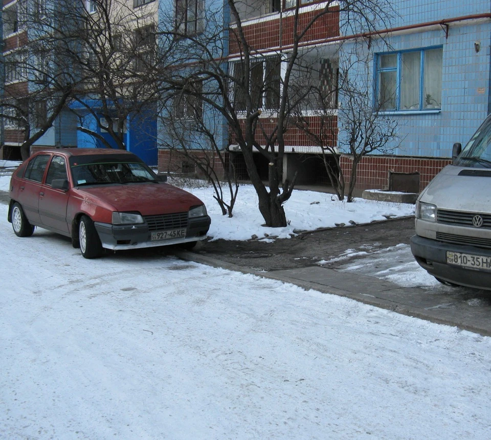 зимовий варіант