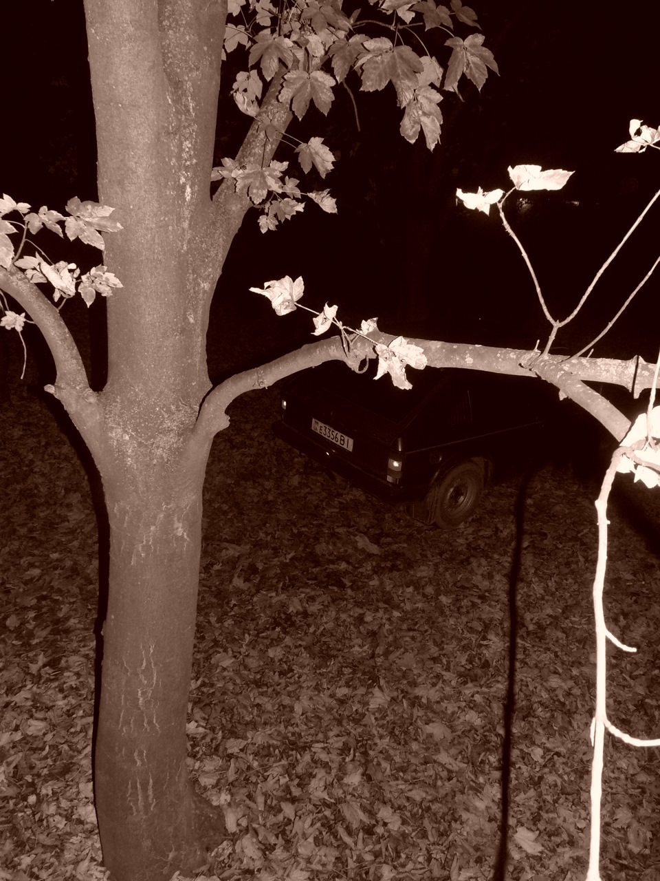 От вирішили з другом пофоткати свої машинки) 2