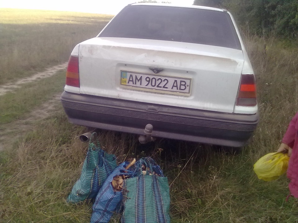 Поїздка за грибами) 4