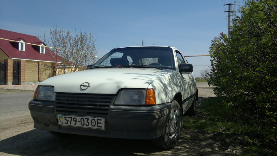 Історія мого красеня у фото 1