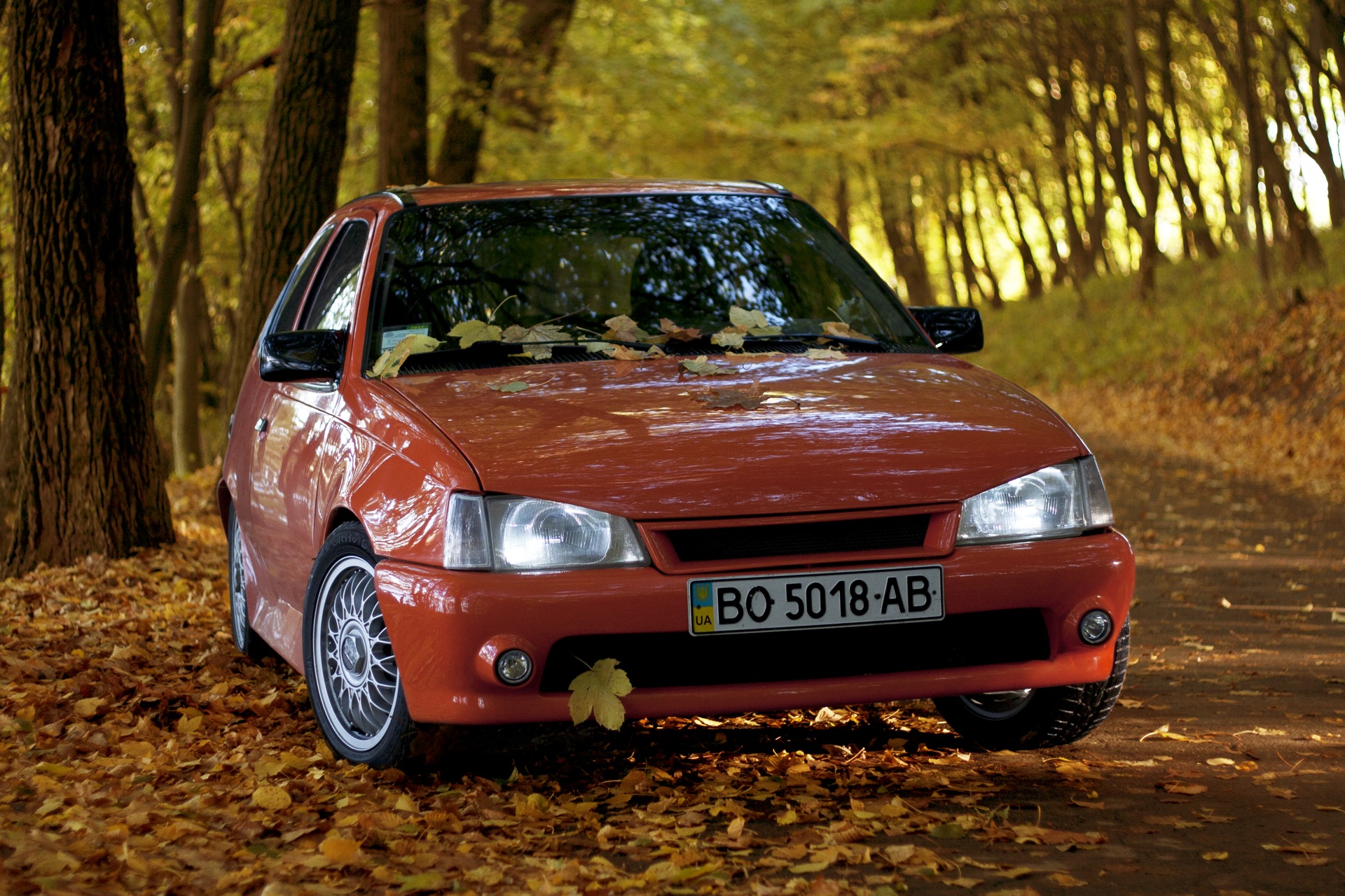 A beautiful sunny autumn day (by Vladislav Timofeev). 4