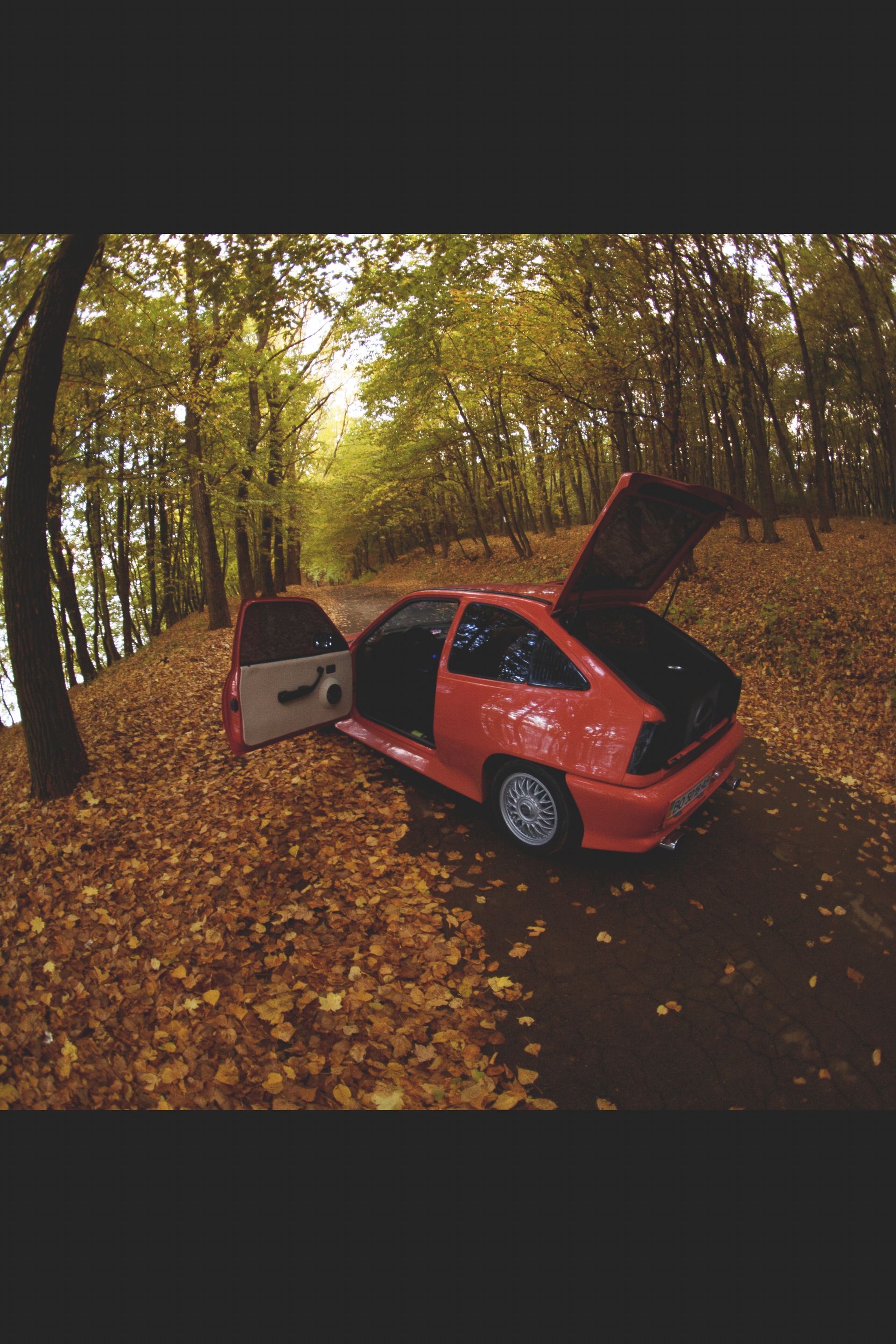 A beautiful sunny autumn day (by Vladislav Timofeev). 3