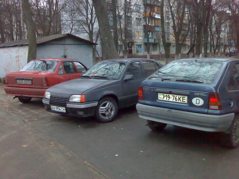 Зустріч на Ельбі… 1