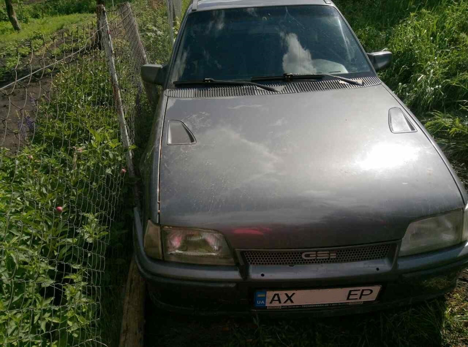 Трохи про невдалий відпочинок на дачі :( 1