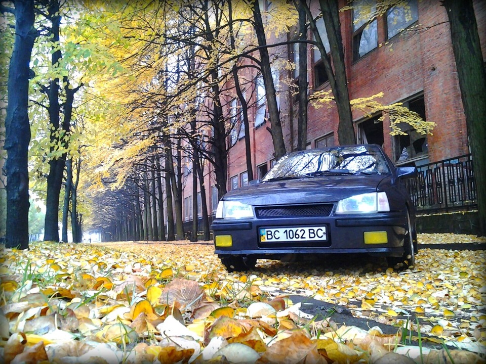 Кілька осінніх фоток 1