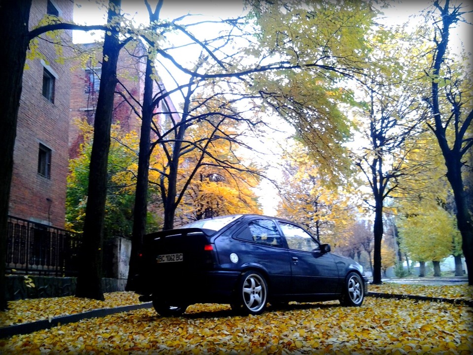 Кілька осінніх фоток 5