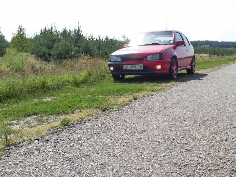 Покотушки в ліс 4