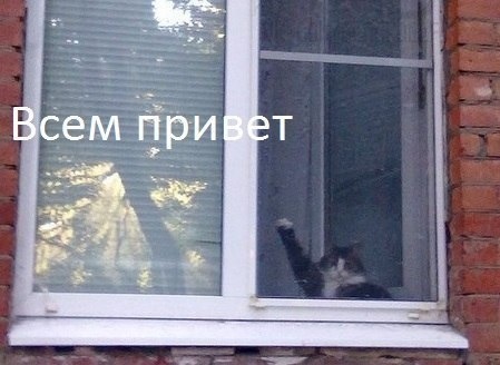 Перетяжка полиці та козирків. 1