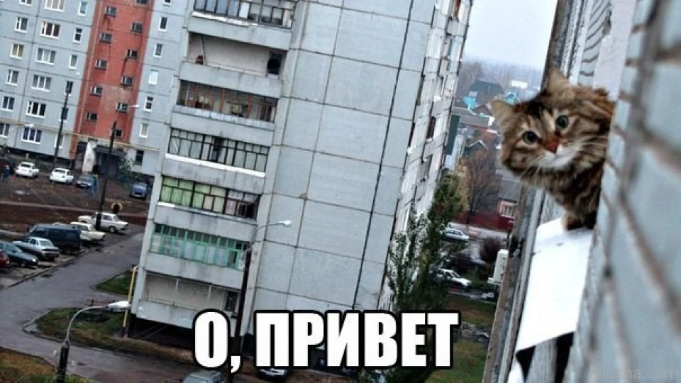 Тарахтит торпеда, думаю не біда. Плафон.