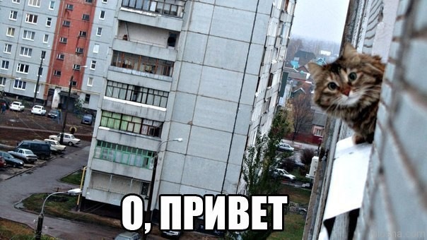 Тарахтит торпеда, думаю не біда. Плафон. 1