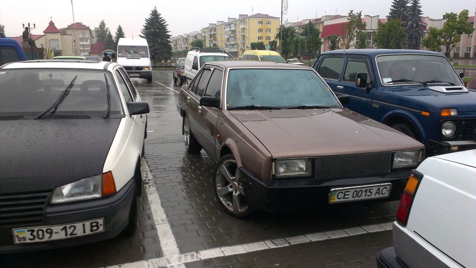 Встретил друга:) 1