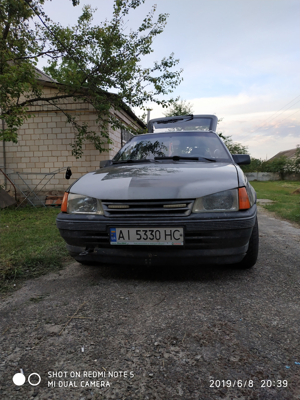 Брутало Аміго) 1