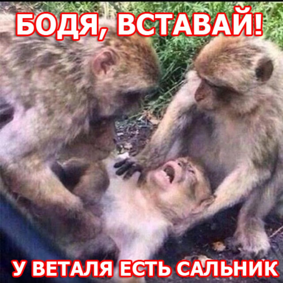Сальник коленвала 31х50х8 1