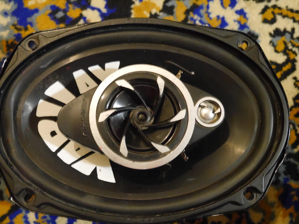 PIONEER TS a6910 житимуть!