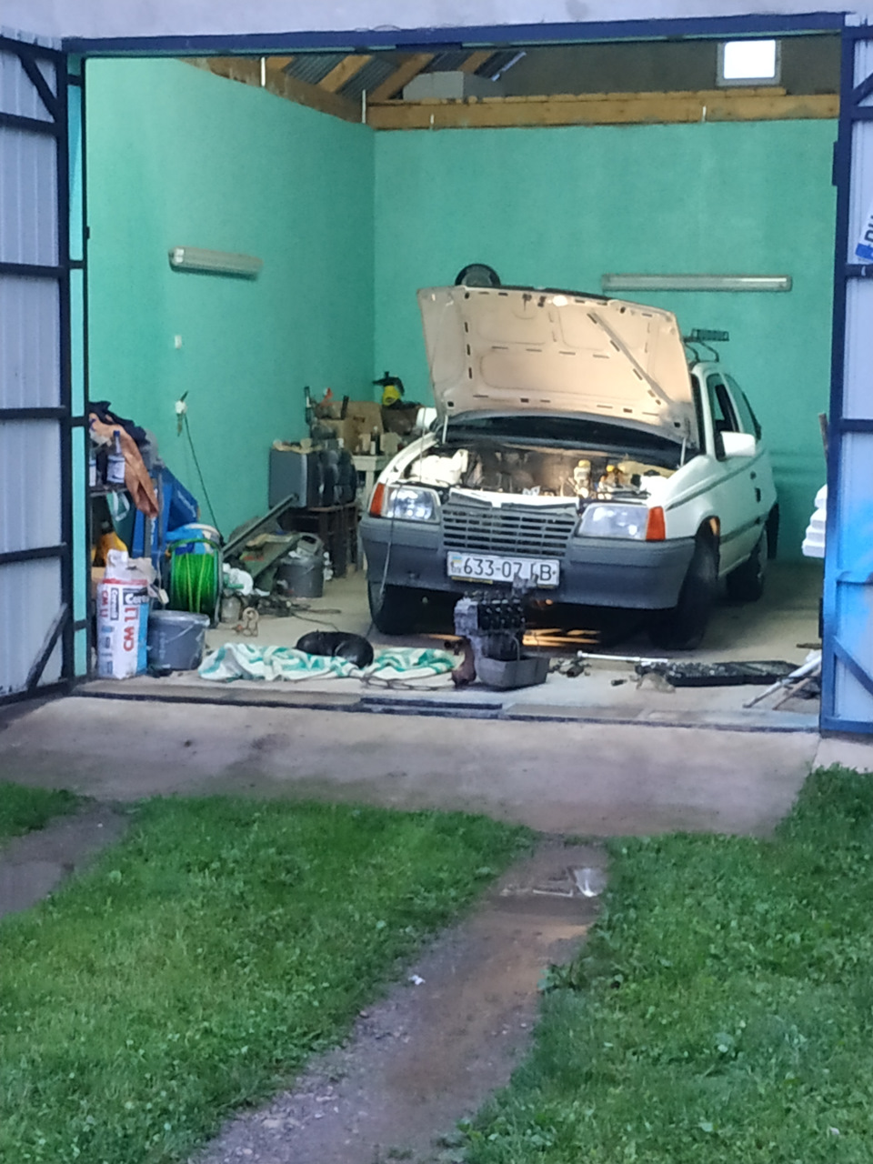 Псіханув 4