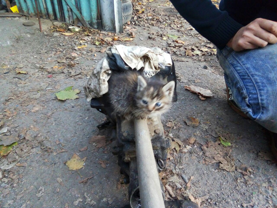 КПП - ось як все влаштовано ... 4