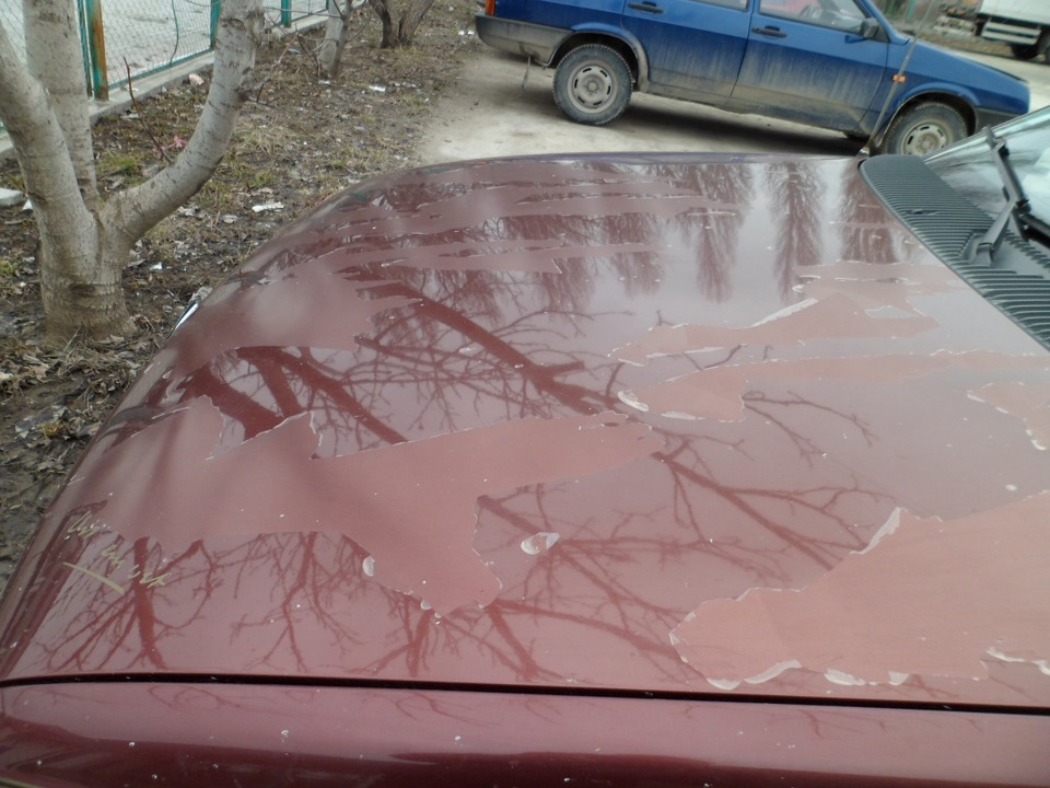 Ось яка кака з капотом сталася через рік після покупки авто. 2