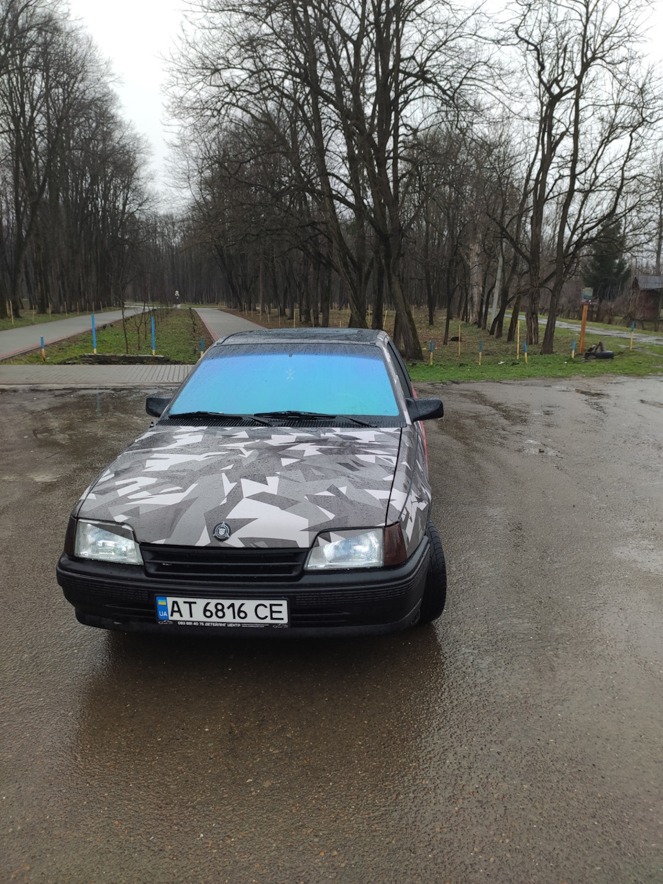 Лобове в хамелеон. 1
