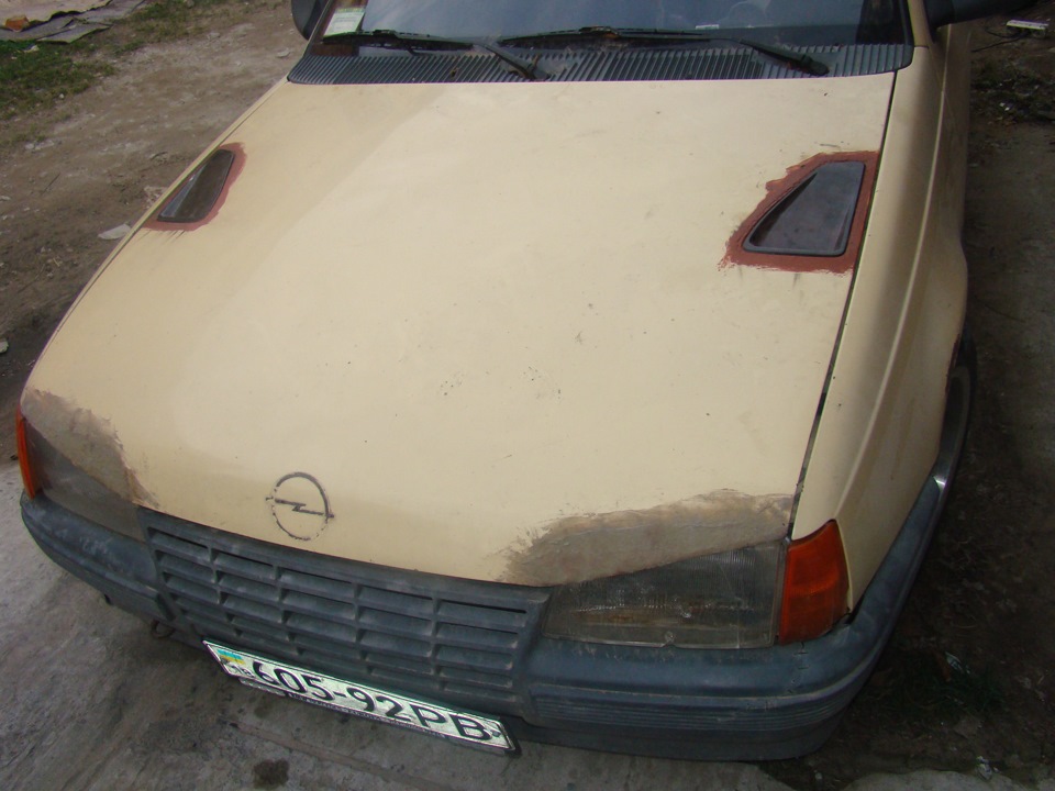 7 Жабра GSI 2