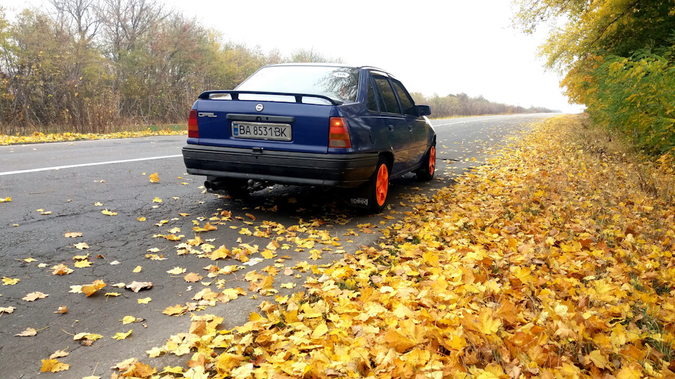 Oseнь 2019 3
