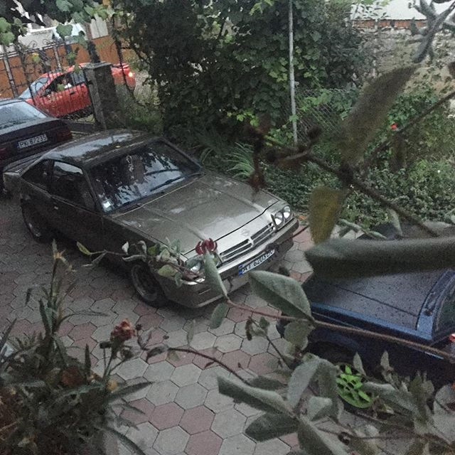 манта продовження. 5