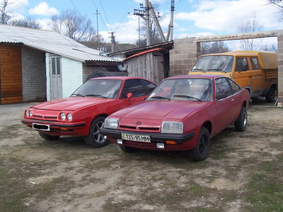 Дві манти разом
