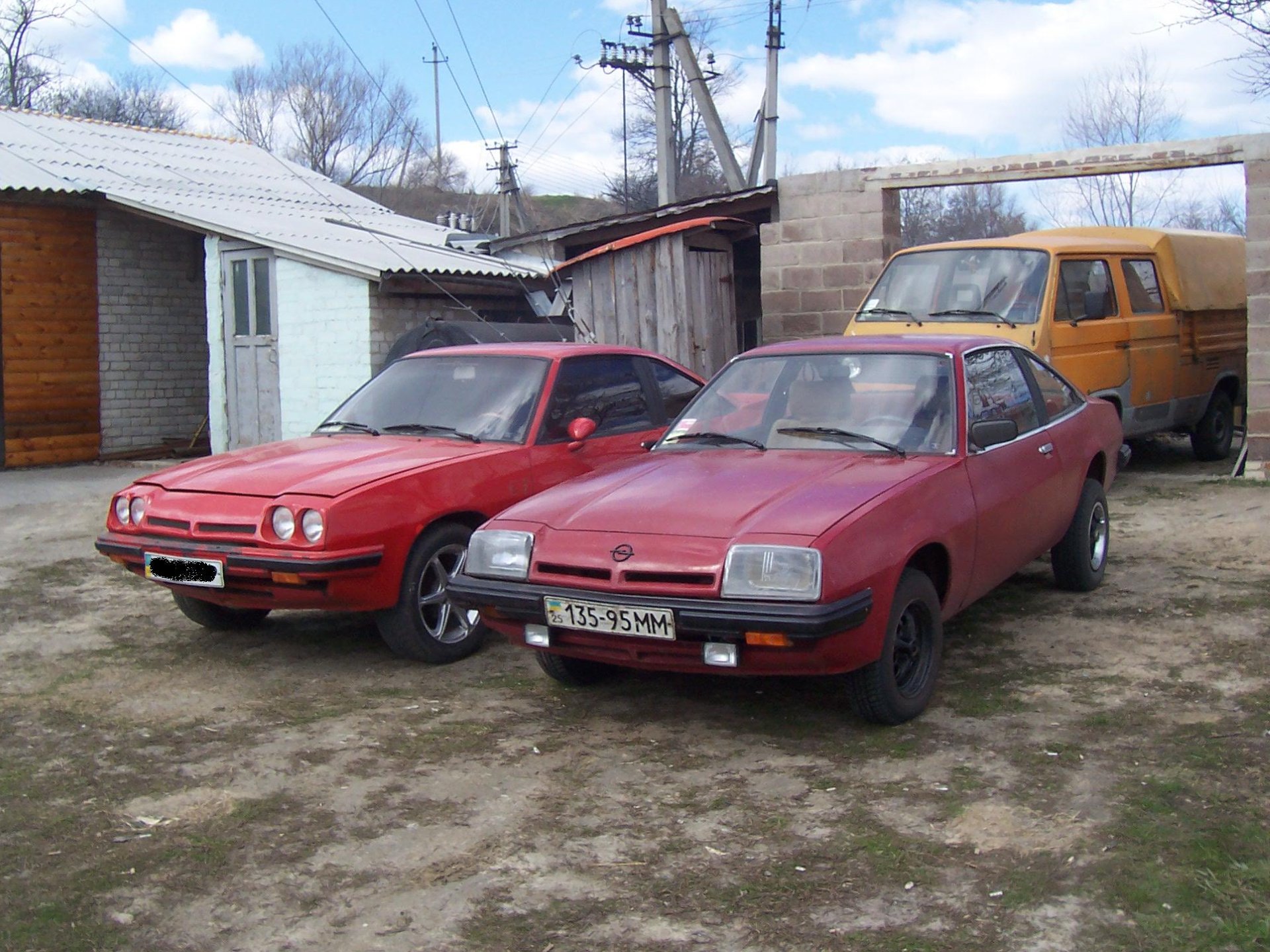 Дві манти разом 1