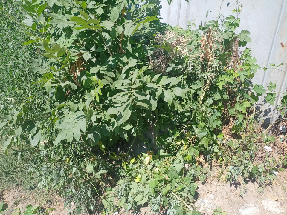 Велика історія про перше, 10 тис. км. 5