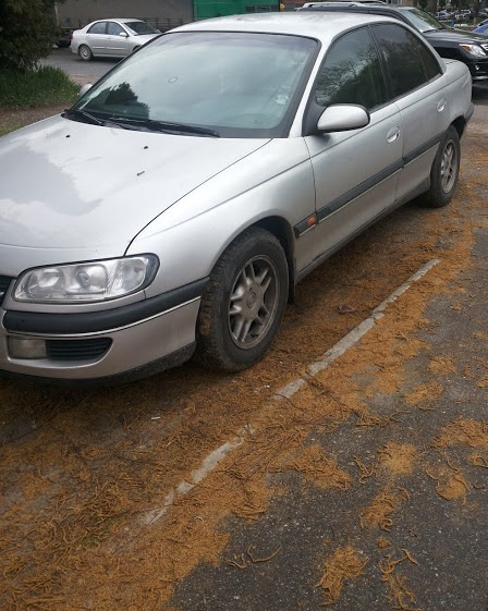 Продам або обміняю свою Омегу 1998 2.0 X20XEV 1