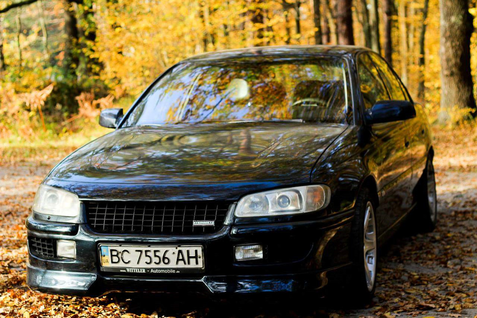 Осіння фотосесія 3