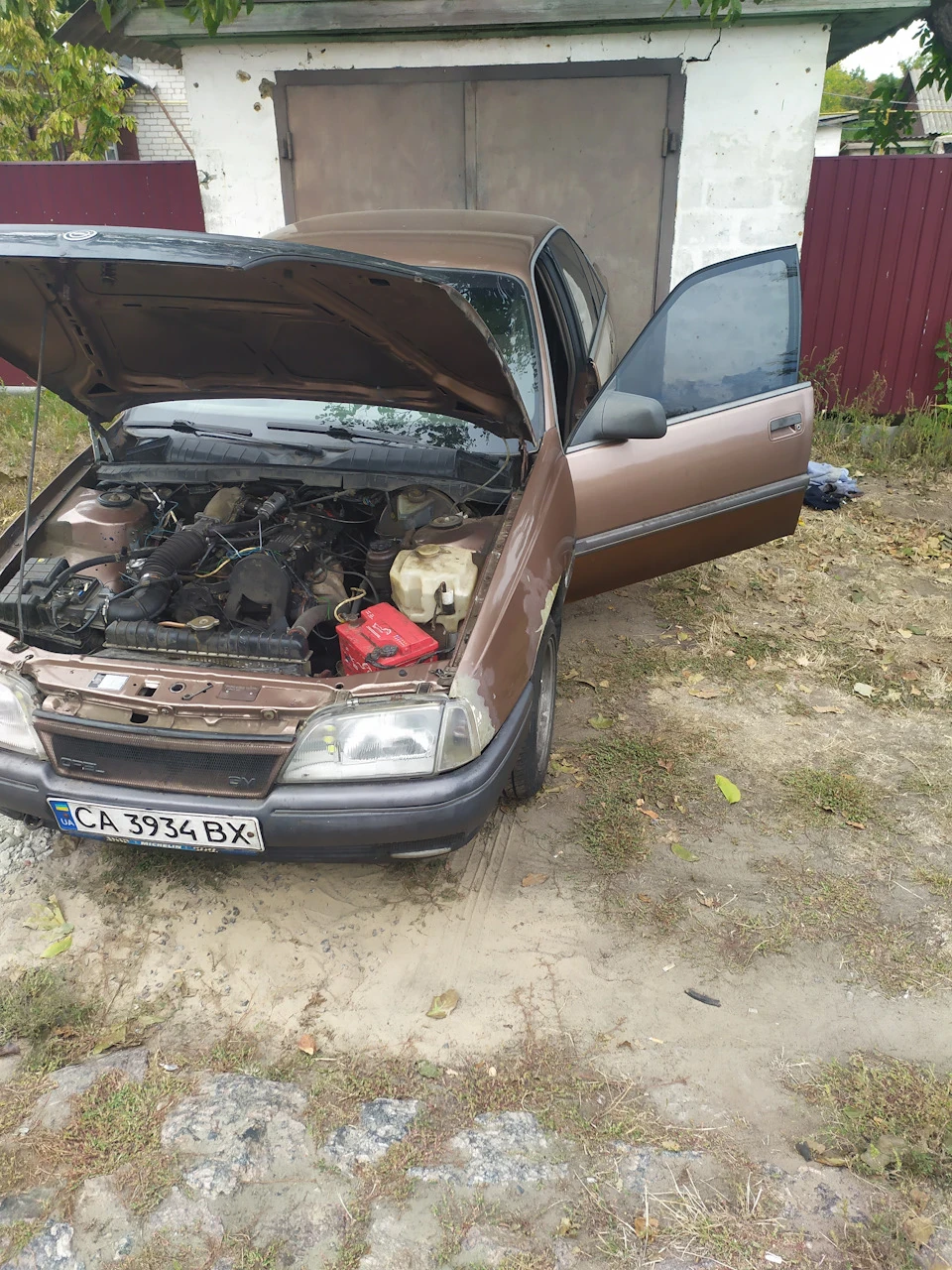 Покупка донора