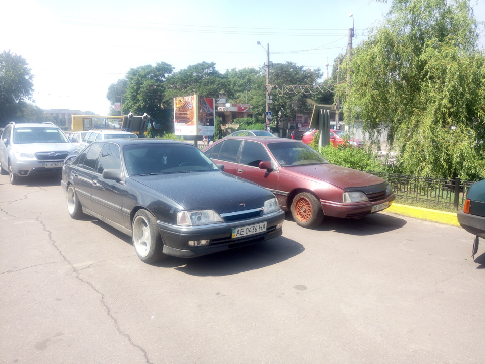 Цікава зустріч :) 1